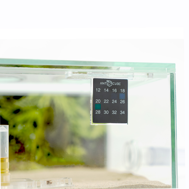 Folien Thermometer Display